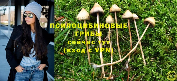 Альфа ПВП Алексеевка