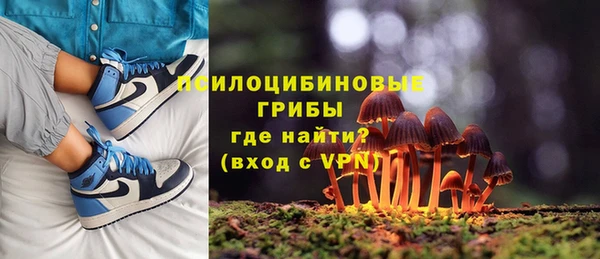 мяу мяу мука Армянск